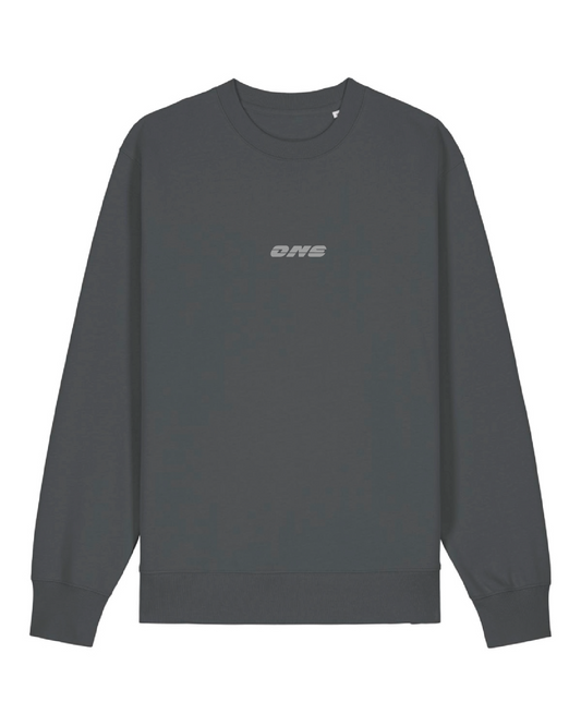 Sweatshirt | ONE Logo klein reflex