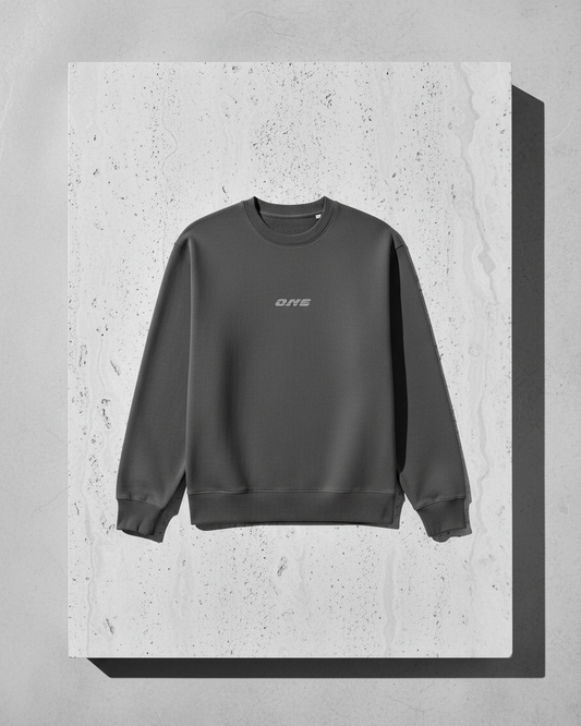 Sweatshirt | ONE Logo klein reflex