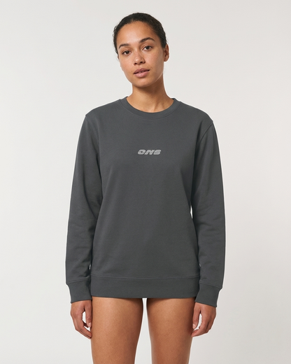 Sweatshirt | ONE Logo klein reflex